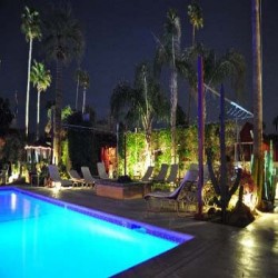 Desert Paradise